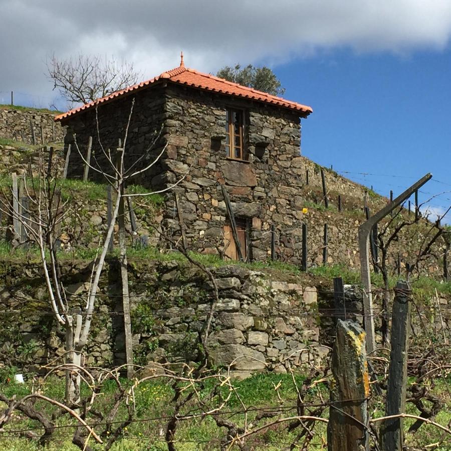 Hotel Casa Qta. Sta. Cruz-Régua à Peso da Régua Extérieur photo